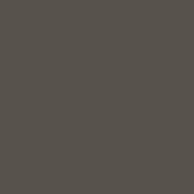 Dark-Bronze Gutters | Stanley & Orke