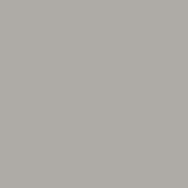 Pewter Vinyl Siding | Stanley & Orke