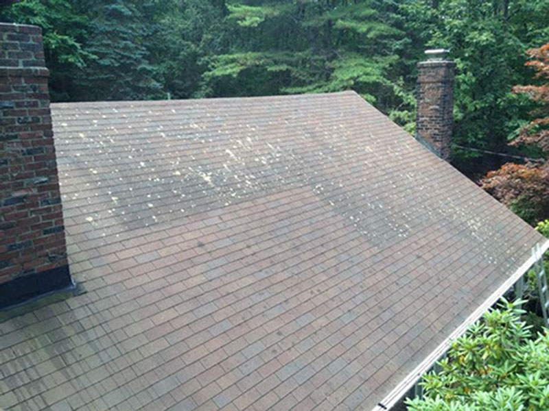 Roof Cleaning | Stanley & Orke